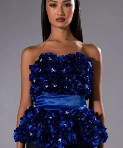 EMILIA FLORAL APPLIQUE STRAPLESS TOP