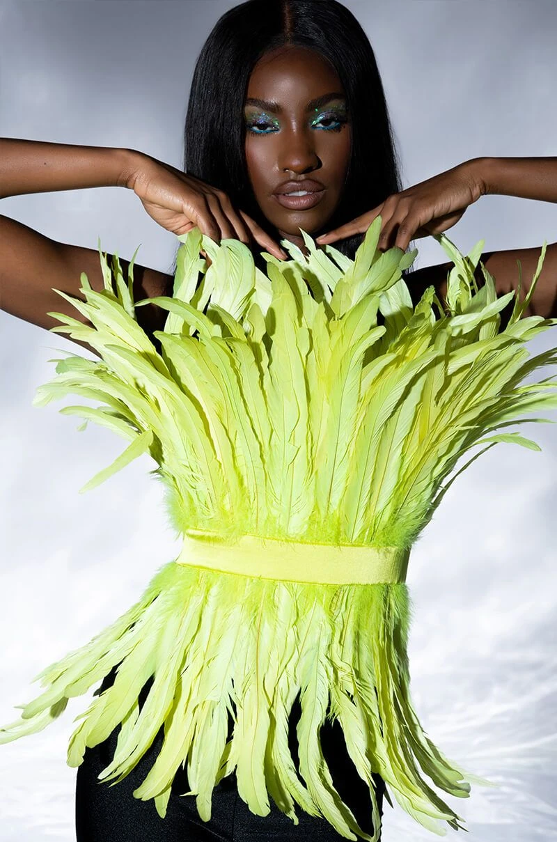 ISLA STATEMENT STRAPLESS FEATHER TOP 3 ISLA STATEMENT STRAPLESS FEATHER TOP