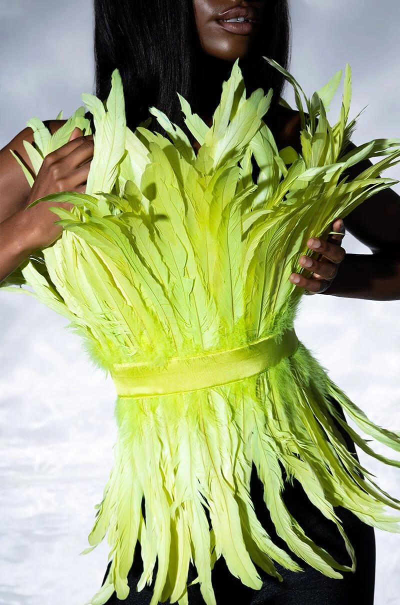 ISLA STATEMENT STRAPLESS FEATHER TOP 4 ISLA STATEMENT STRAPLESS FEATHER TOP - Image 2