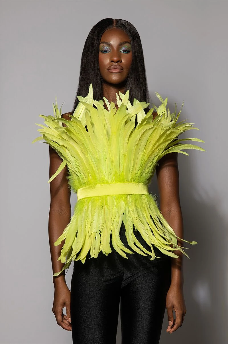 ISLA STATEMENT STRAPLESS FEATHER TOP 6 ISLA STATEMENT STRAPLESS FEATHER TOP - Image 4