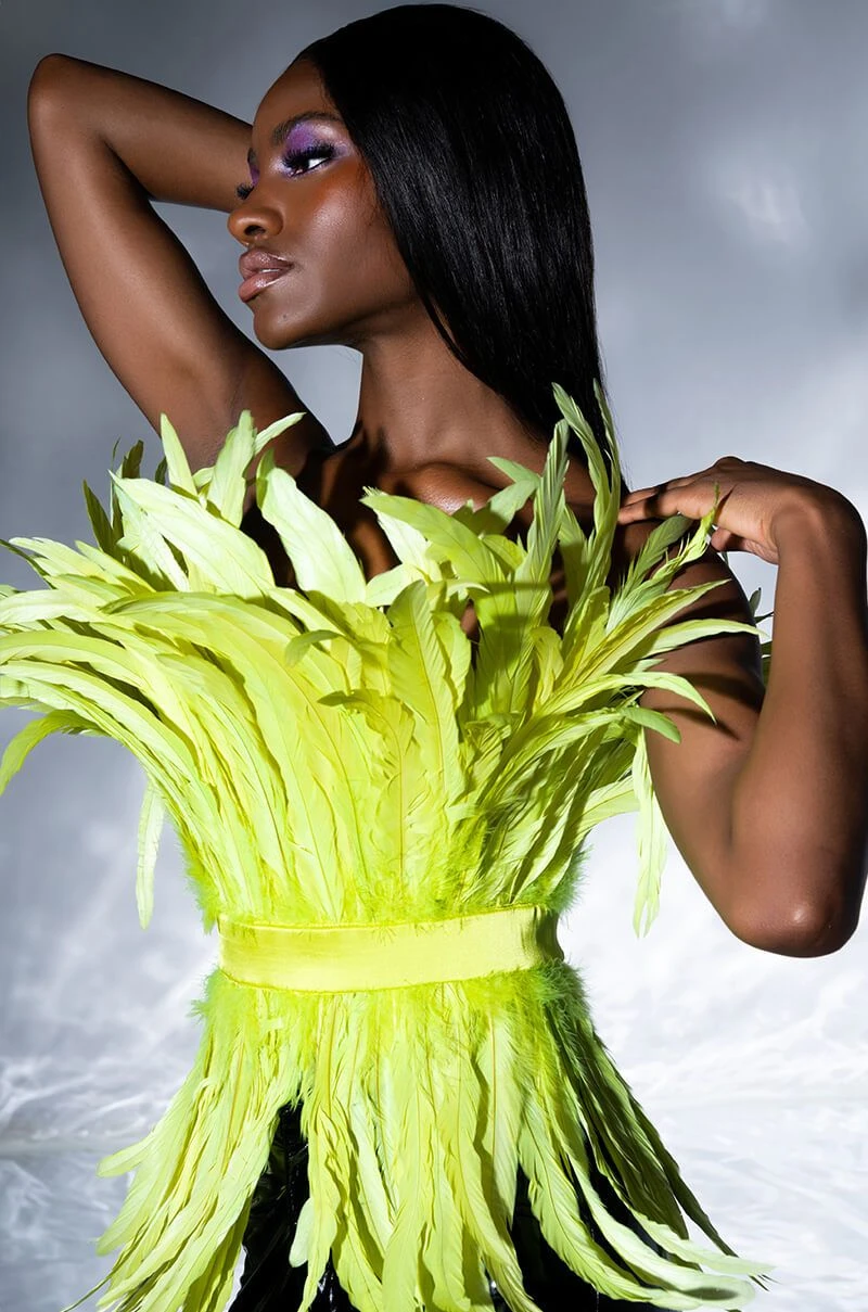 ISLA STATEMENT STRAPLESS FEATHER TOP 11 ISLA STATEMENT STRAPLESS FEATHER TOP - Image 9