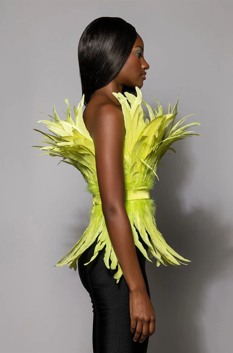 ISLA STATEMENT STRAPLESS FEATHER TOP 7 ISLA STATEMENT STRAPLESS FEATHER TOP - Image 5