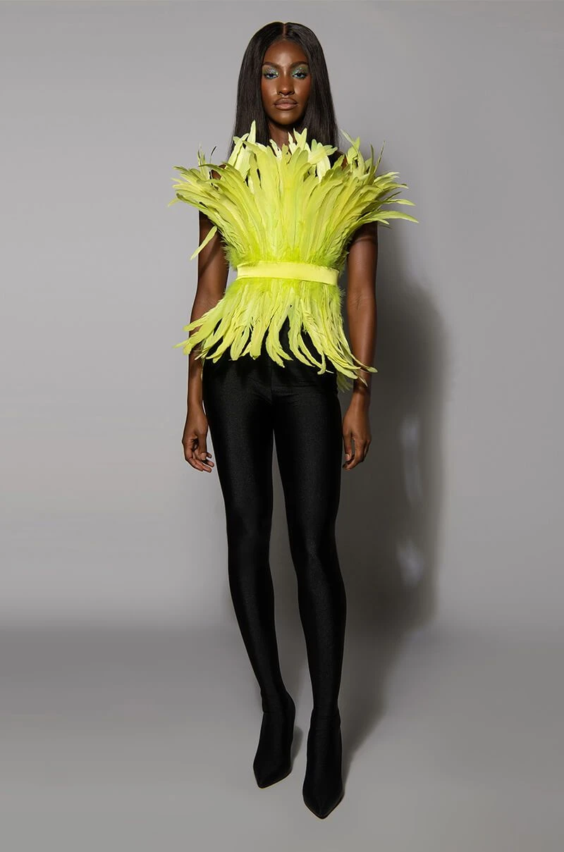 ISLA STATEMENT STRAPLESS FEATHER TOP 10 ISLA STATEMENT STRAPLESS FEATHER TOP - Image 8