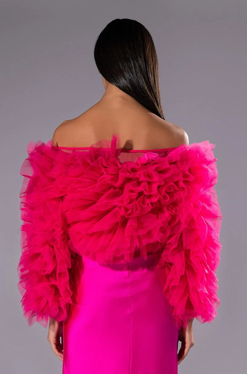 SOUND OFF TULLE RUFFLE LONG SLEEVE CROP BLOUSE - Image 5